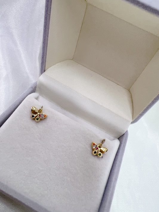 Mariposa circon colores